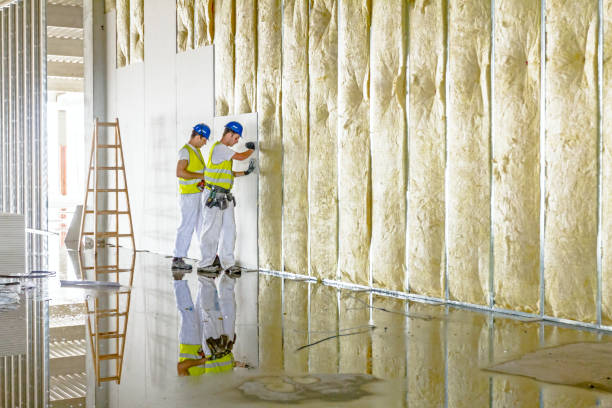 Best Residential Insulation in Williamstown, PA